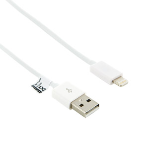 4World Kabel USB pro iPhone 5/iPad 4/iPad mini pÅenos dat/nabÃ­jenÃ­ 1.0m bÃ­lÃ½