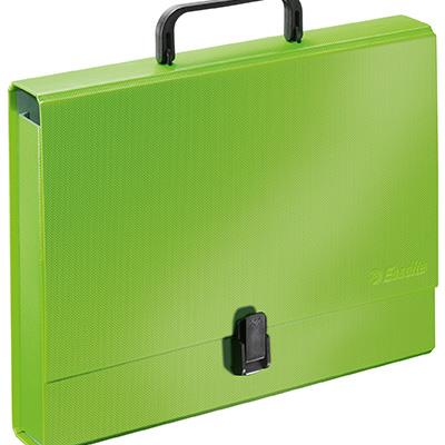 Cardboard wallet with a handle, Esselte green