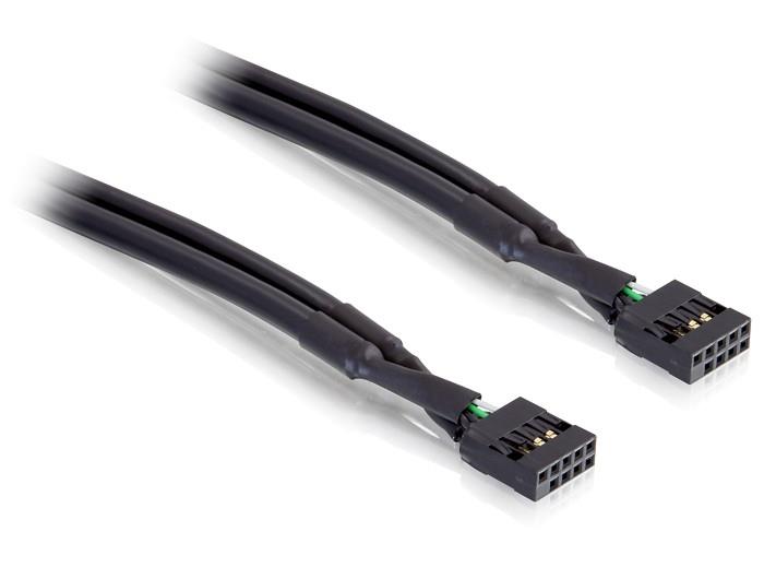 Delock Cable USB pinheader female / female 10 pin (industry)