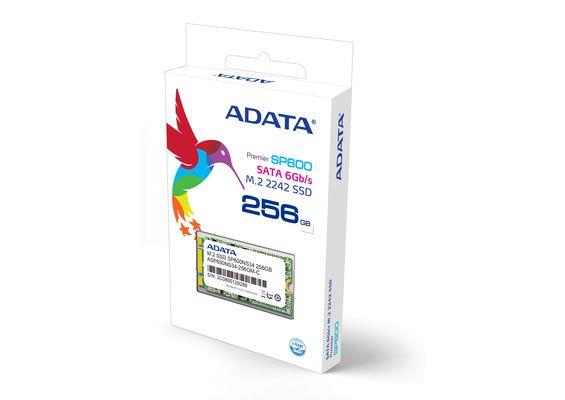 ADATA SSD Premier SP600NS 256GB M.2 2242 SATA3, (ÄtenÃ­/zÃ¡pis:550/320MBs)