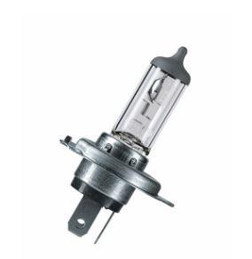 OFF-ROAD Lamps High Power Halogen 100/90W P43t