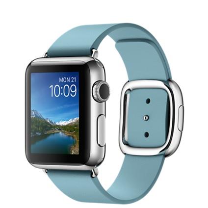 Apple Watch 38mm Stainless Steel Case with Blue Jay Modern Buckle - Medium